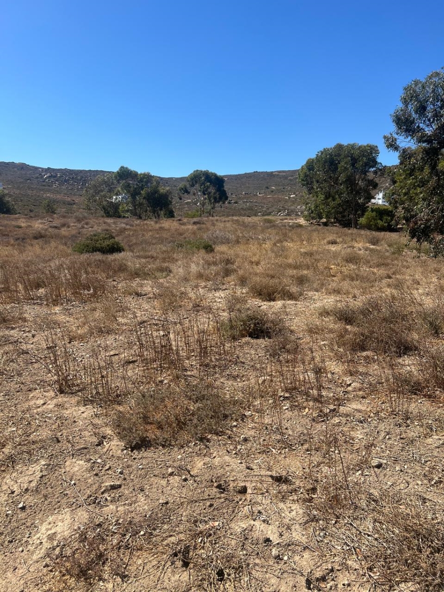 Commercial Property for Sale in St Helena Views Western Cape